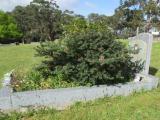 image of grave number 504667